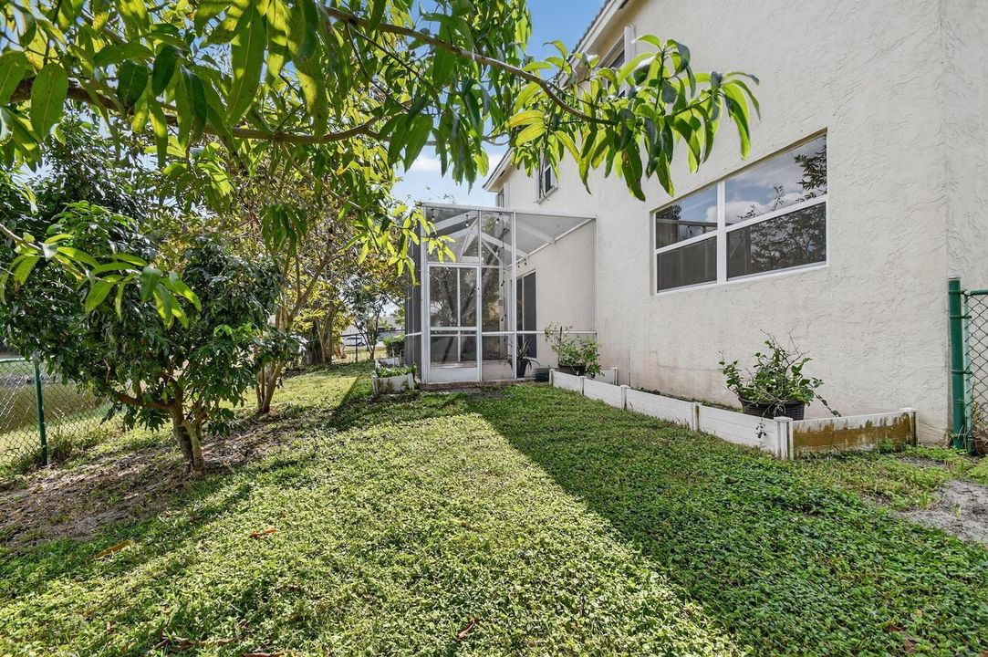 Fenced Yard