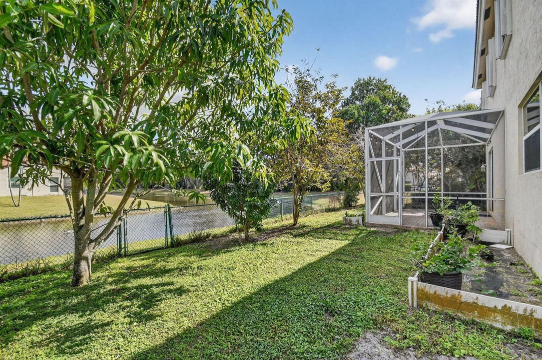Fenced Yard