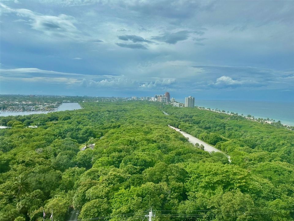 Northern View overlooking Hugh Taylor Birch Park