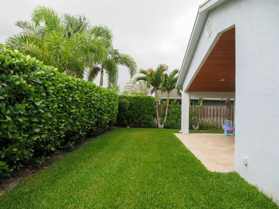 Backyard