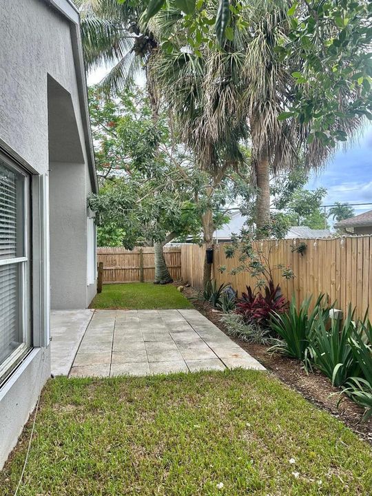 Back Yard