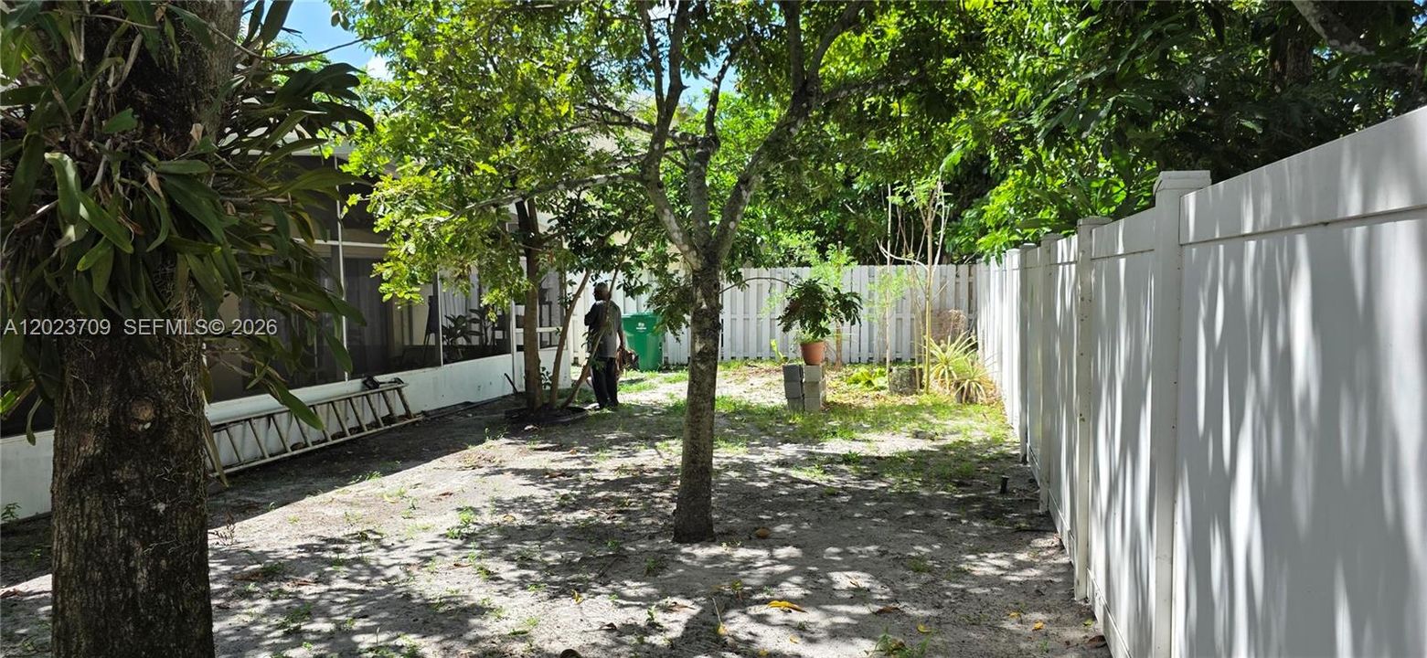 Back yard