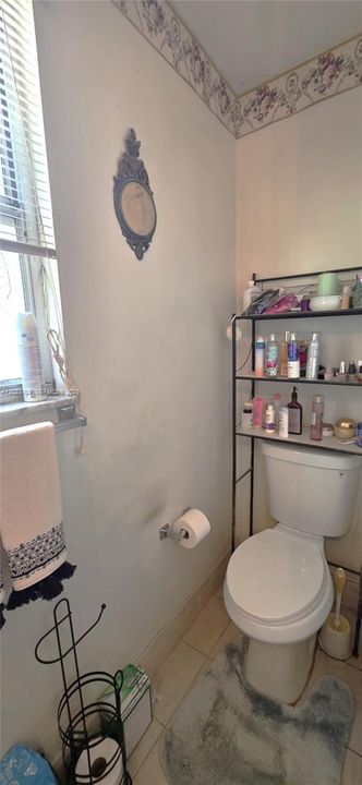 Master bath toilet