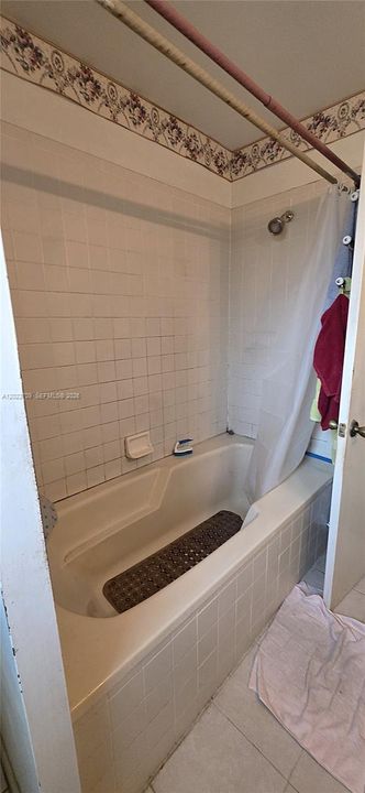 Master bathroom tub
