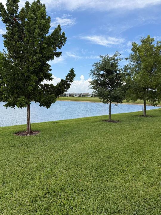 Rear Exterior Lakefront