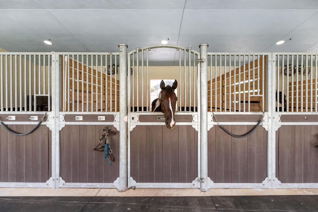 1464 Stallion Dr Loxahatchee-print-089-1