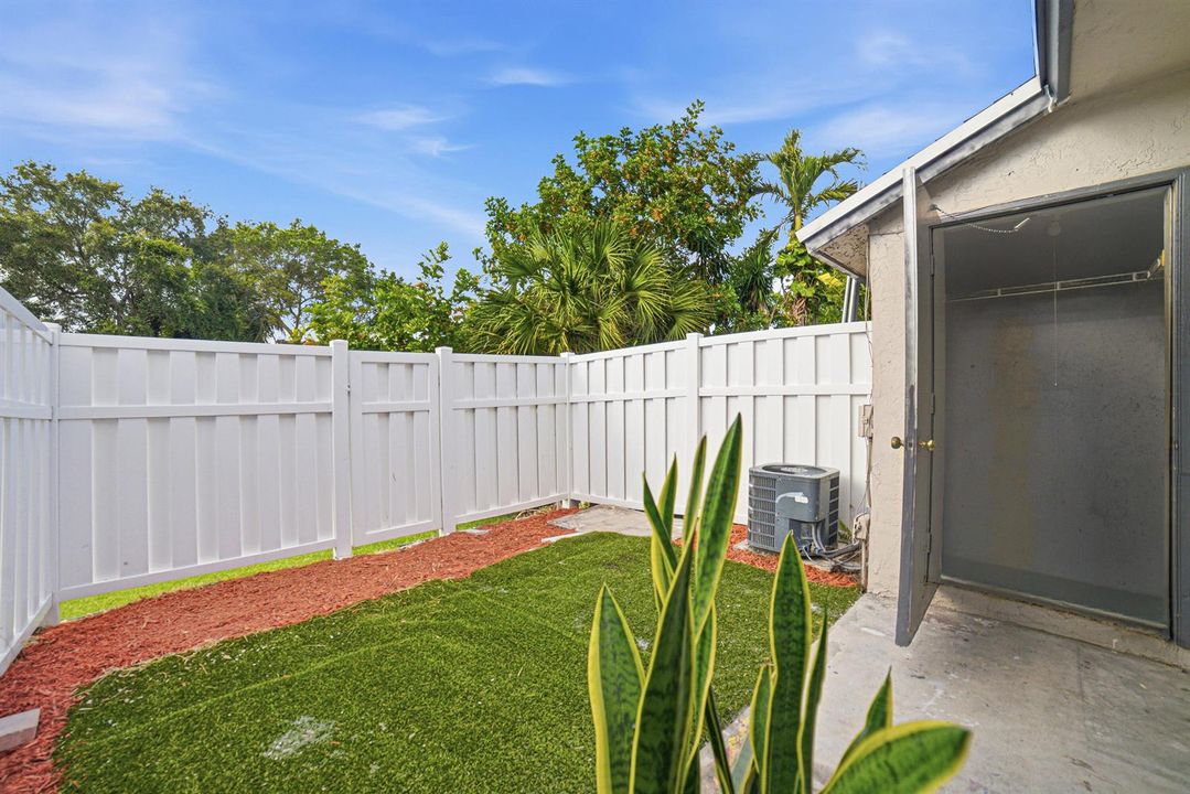 Backyard-B