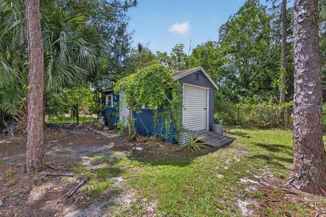 94-web-or-mls-5D1A9946