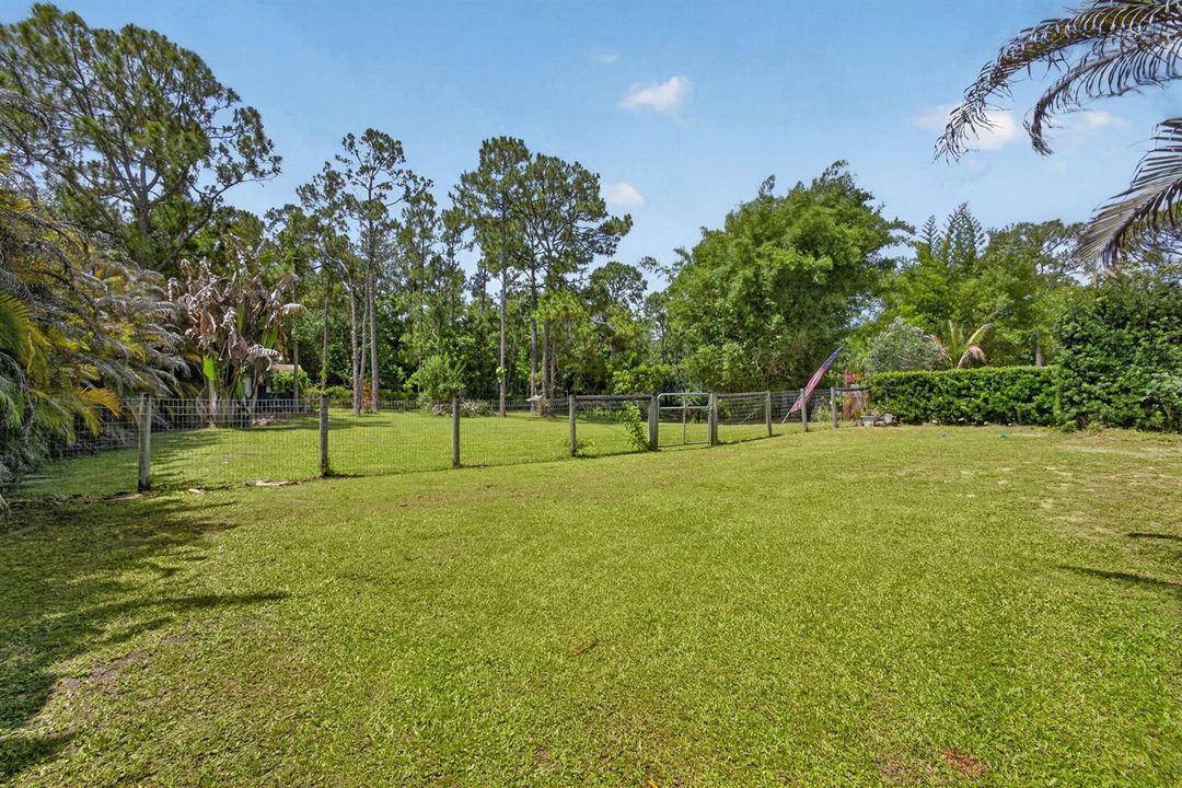 94-web-or-mls-5D1A9930