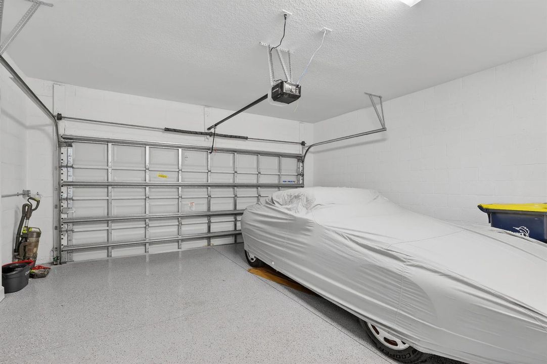 38-web-or-mls-5P1A4982