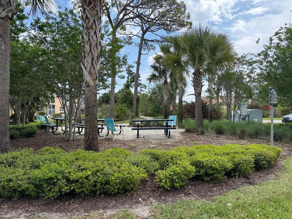 picnic area png