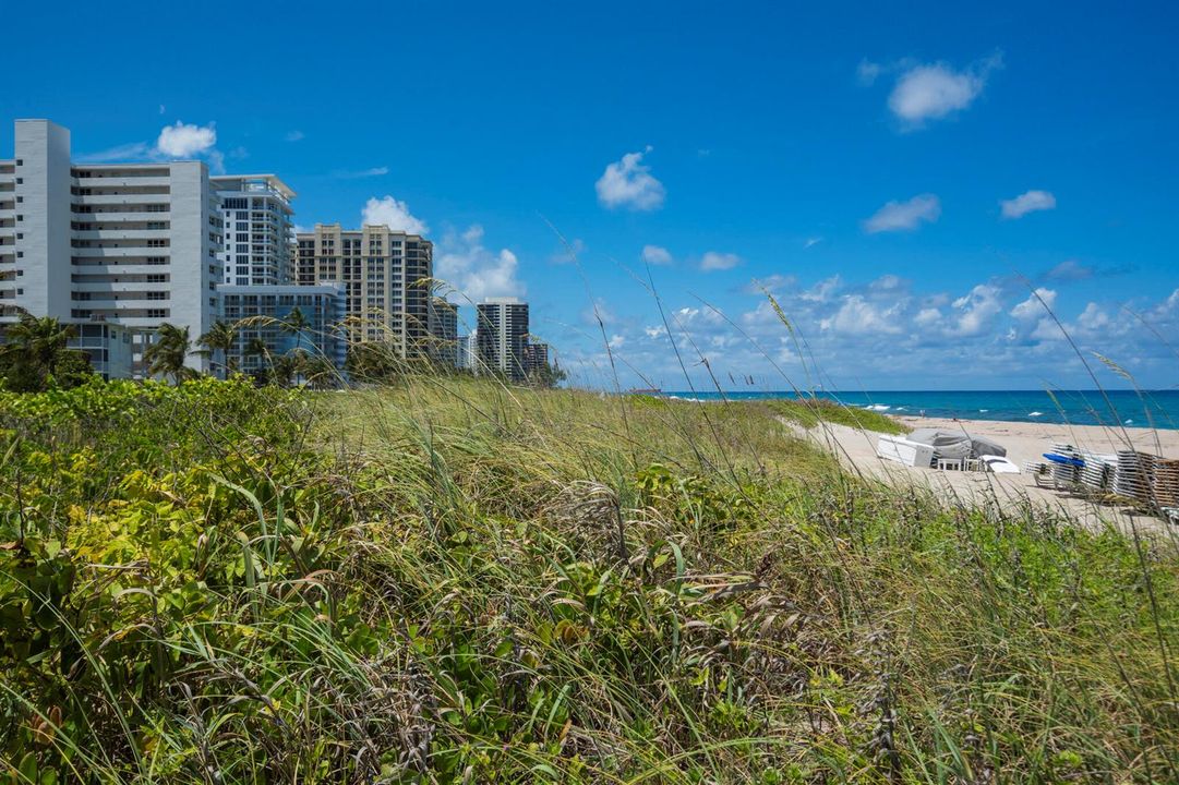 Private Beach Access