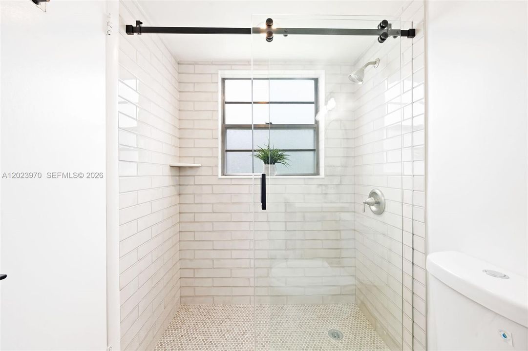 Modern Primary Shower
