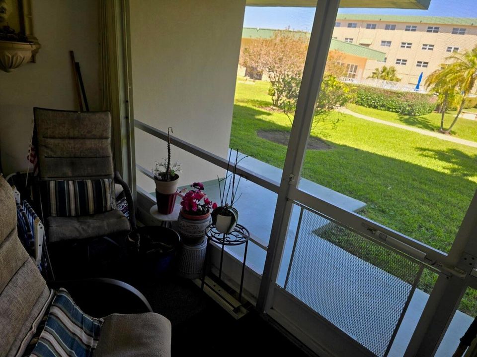 View From Porch