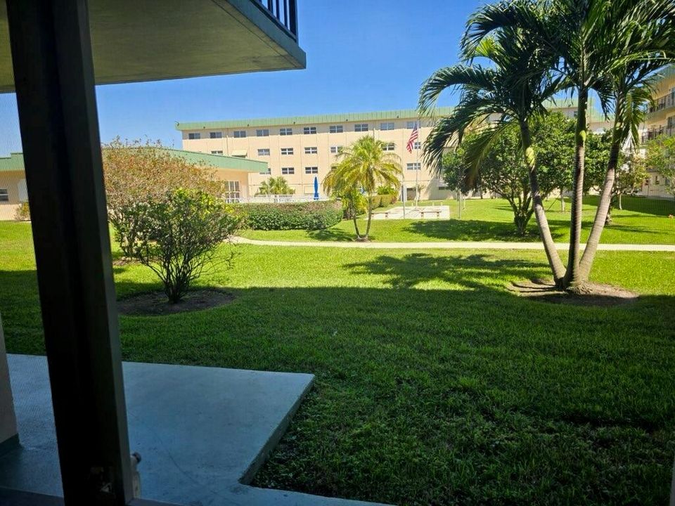 View From Porch