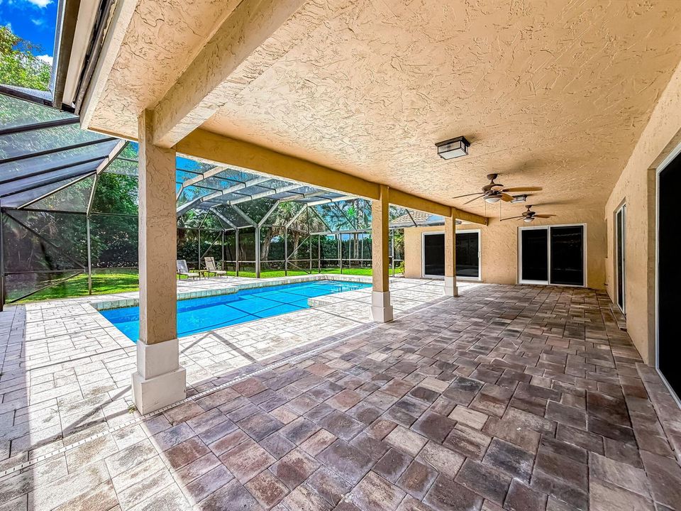 Pool and Patio