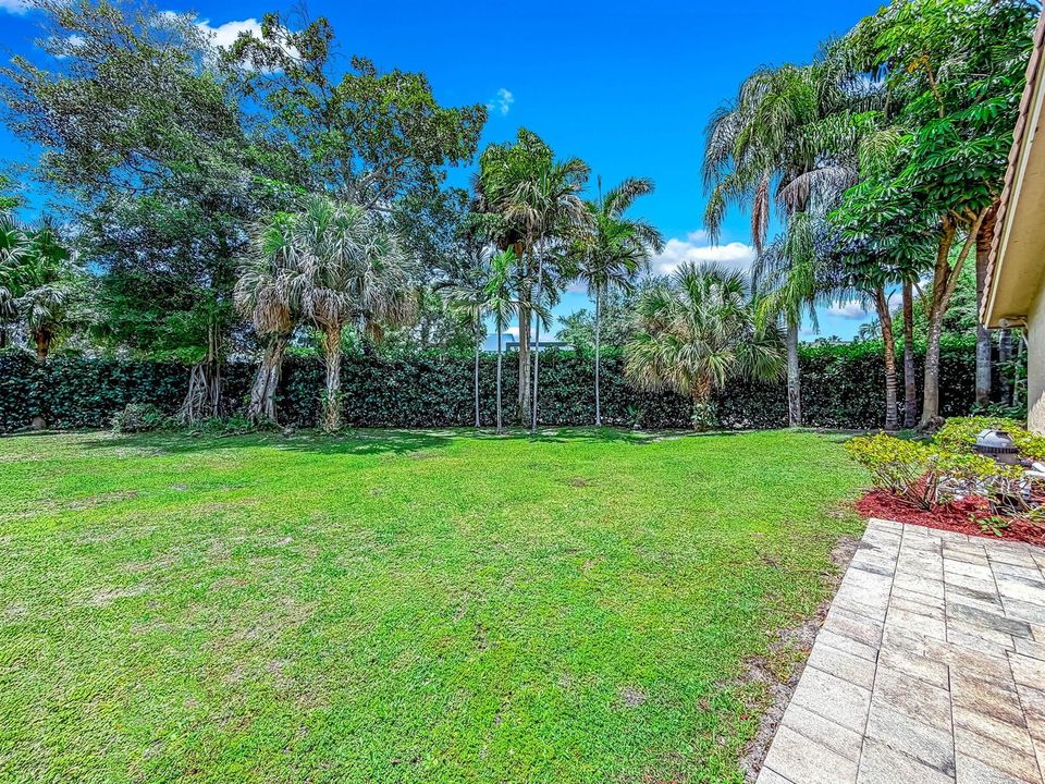 Backyard