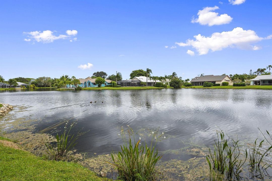 54-web-or-mls-DSC03707