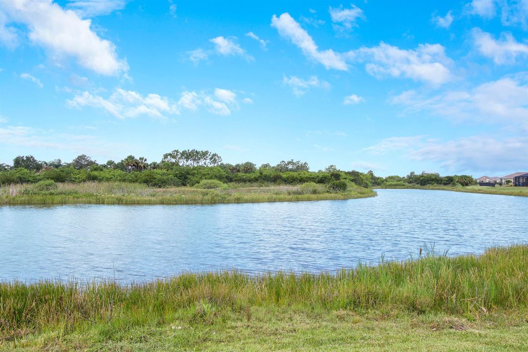 Lake Views