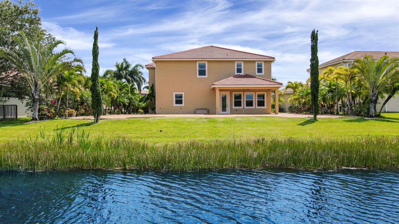 Back of Property