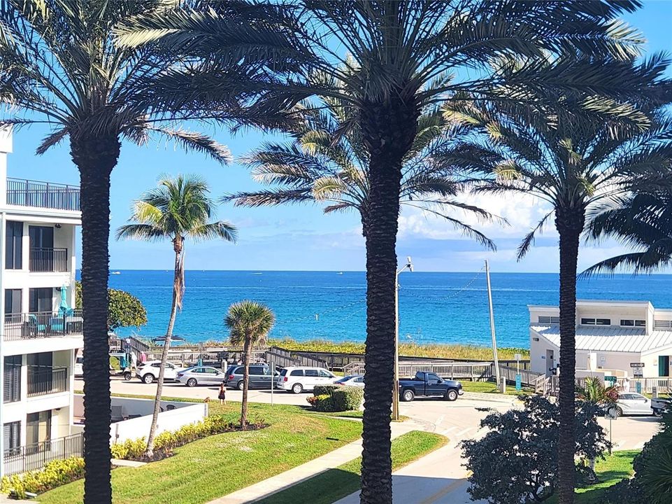 Gorgeous View!