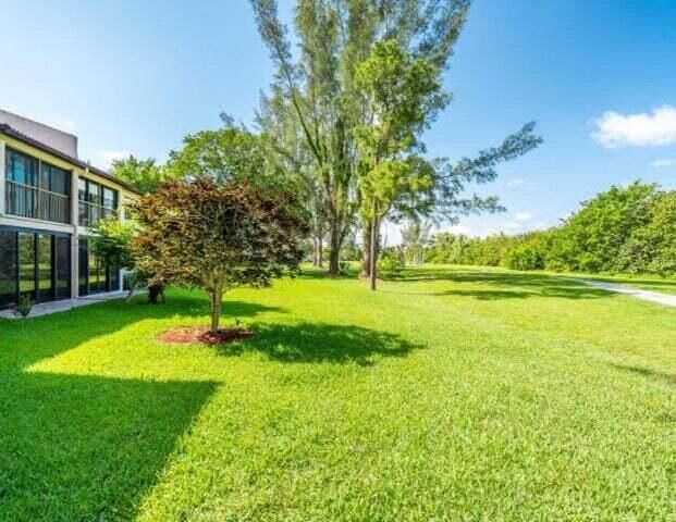 Back yard 1