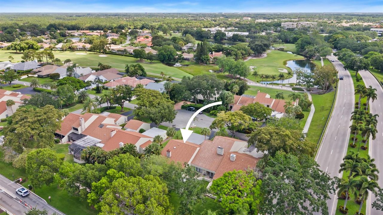 Arial View