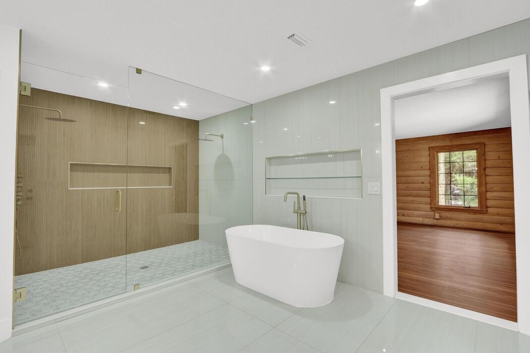 bath1 shower and tub