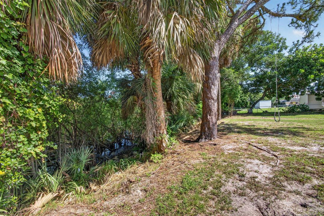 64-web-or-mls-5D1A9202