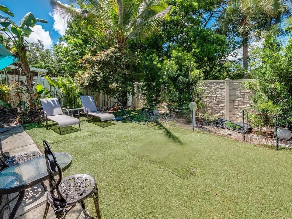 Fenced Back Yard 2