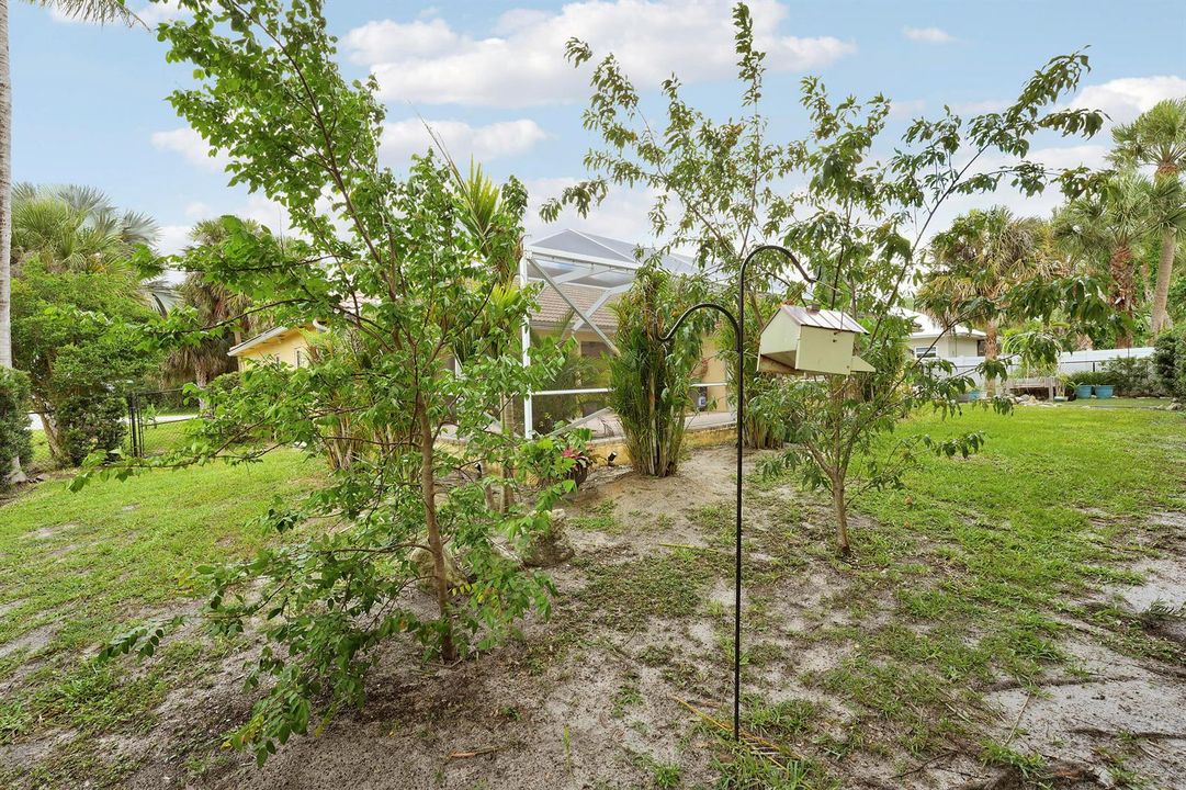 Large Backyard