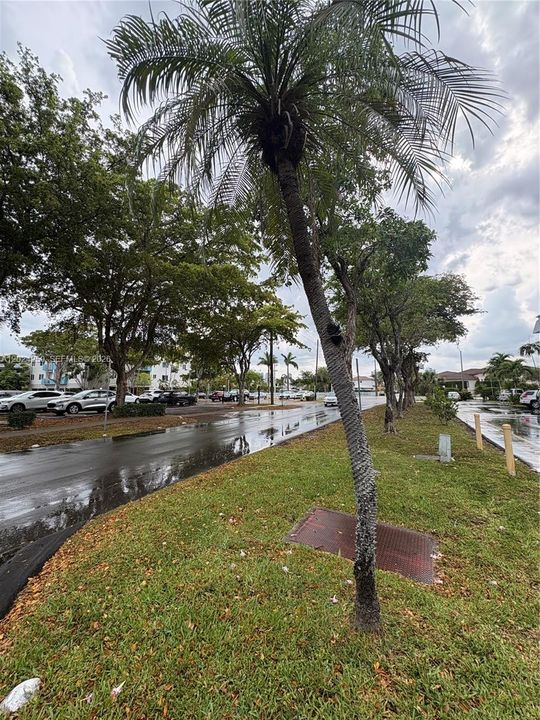 For Sale: $150,000 (1 beds, 1 baths, 812 Square Feet)