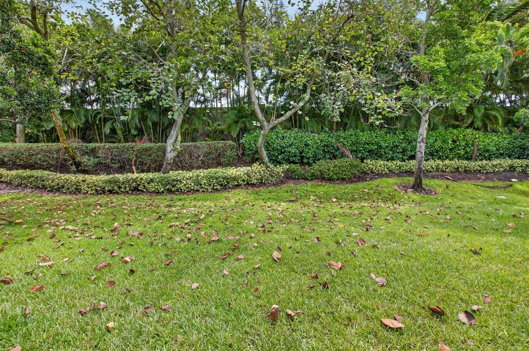BACK YARD