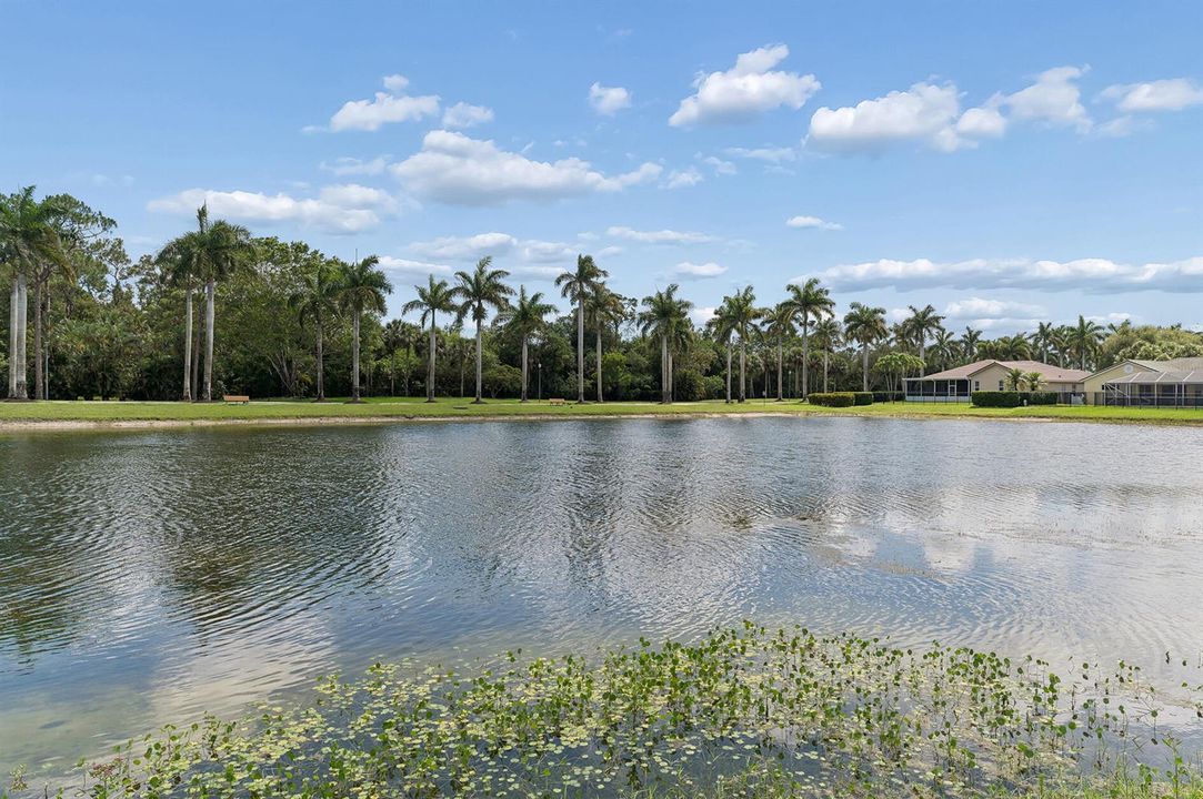 View of Lake