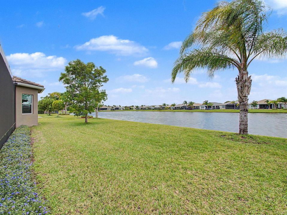 Backyard Lake View