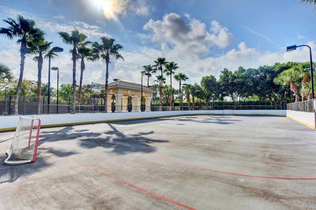 Roller Hockey Rink