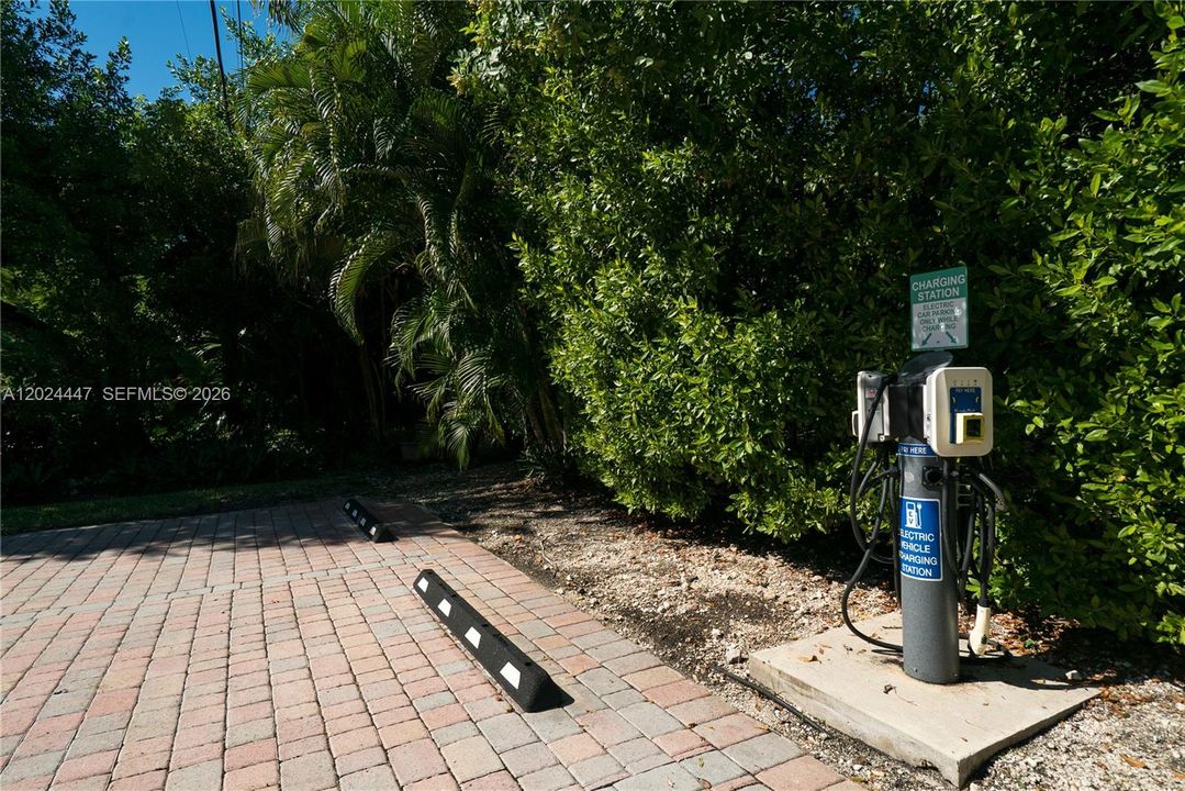 Electric Car Charging