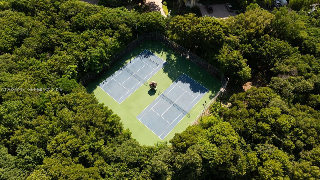 Pickle ball and Tennis