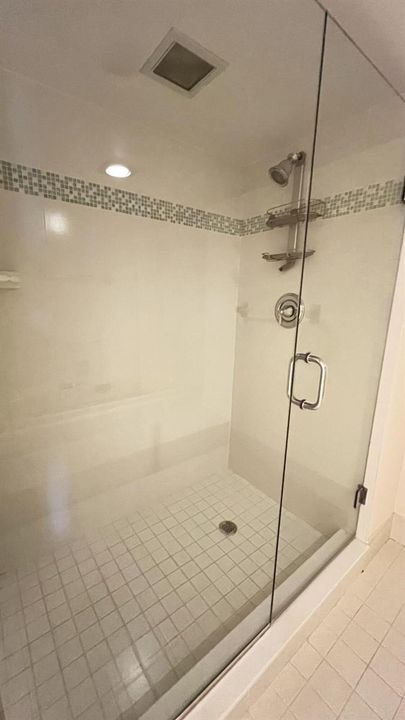 Primary Shower
