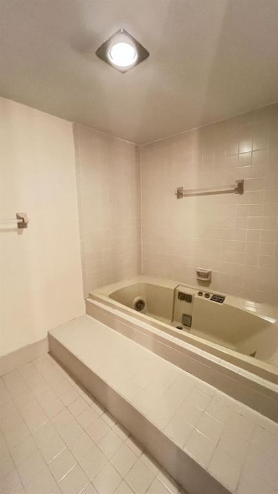 Primary Bathtub