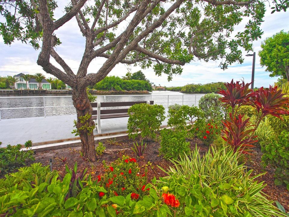 Bench on Intracoastal