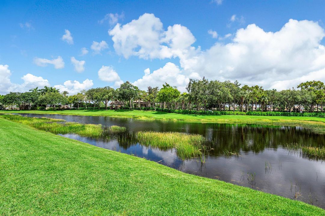 Lakefront Lot