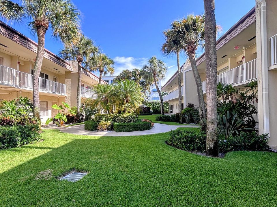 Garden views outside condo