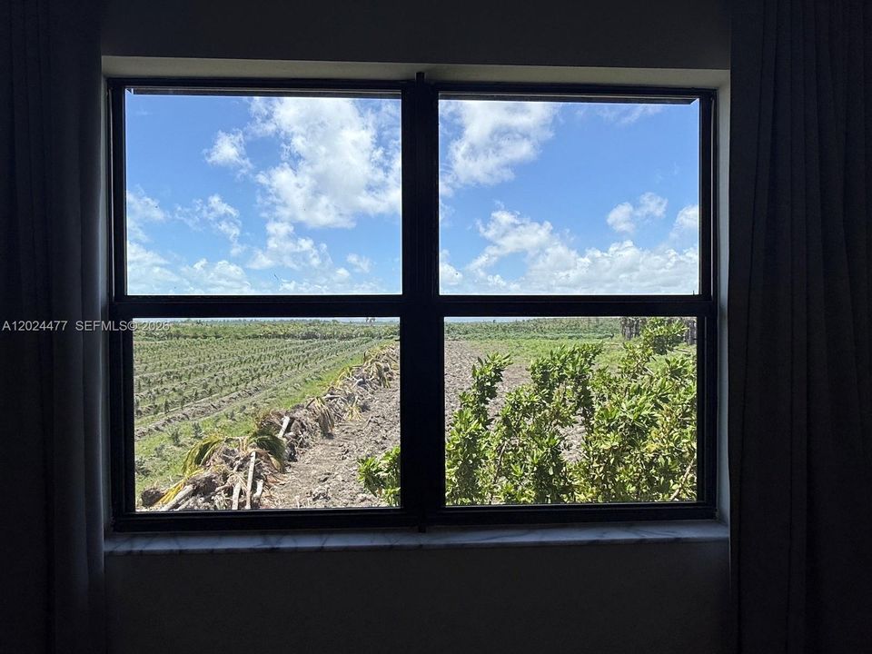 View From Great Bedroom Window