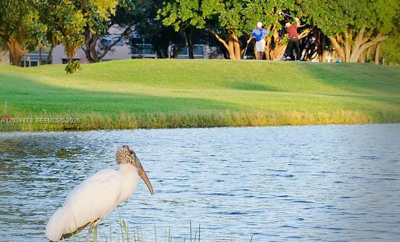Golf Course View.