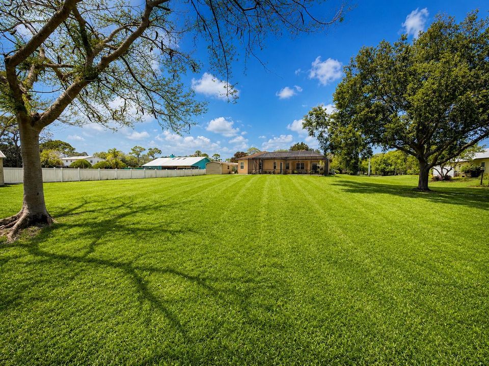Back Exterior - Yard