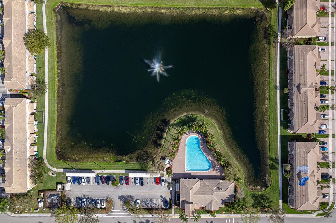 Aerial-11