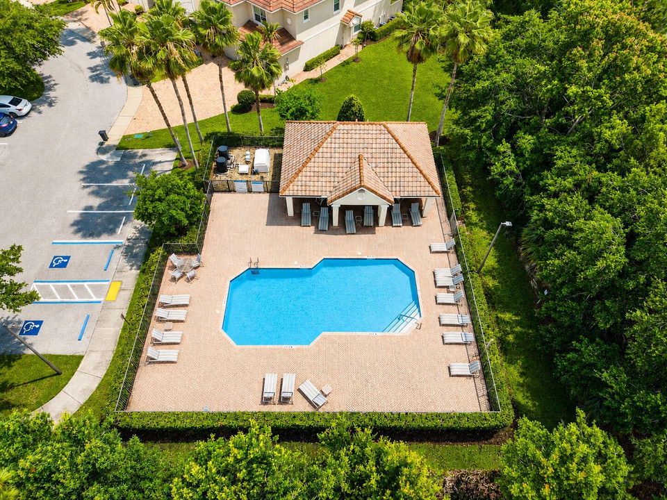Ariel View