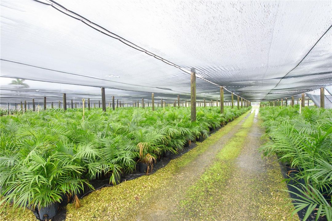 Shade House View (Inventory/Plants Not Included)