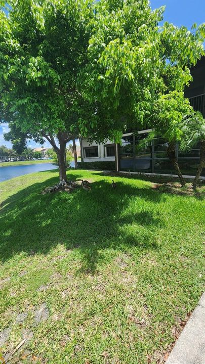 Your corner piece of paradise!
